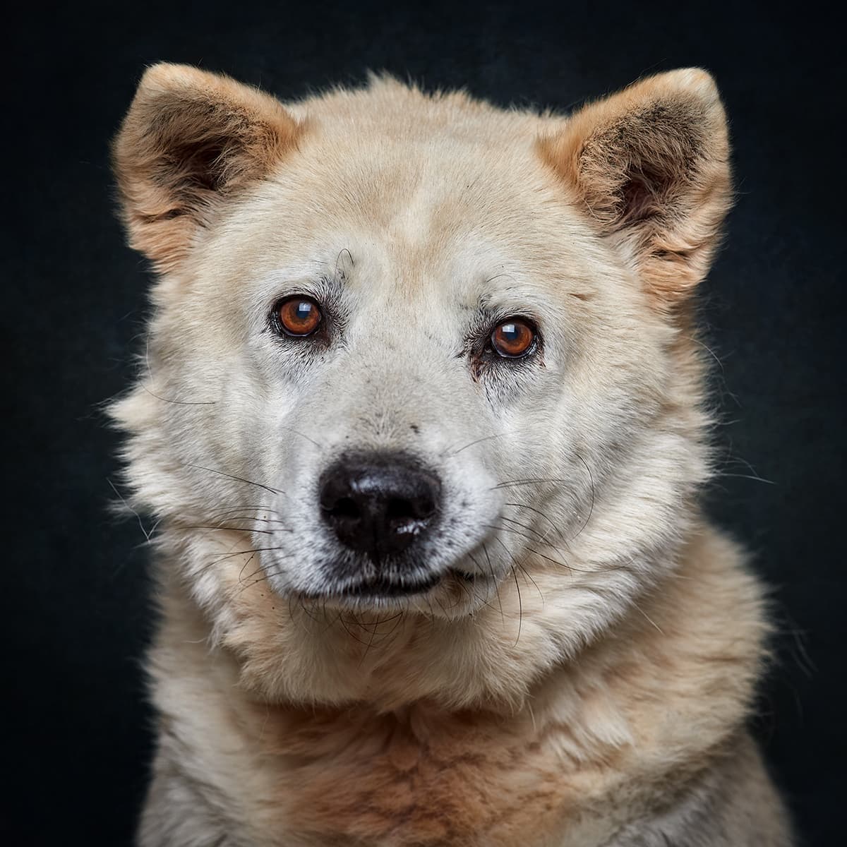 Be My Friend - Imagem 1