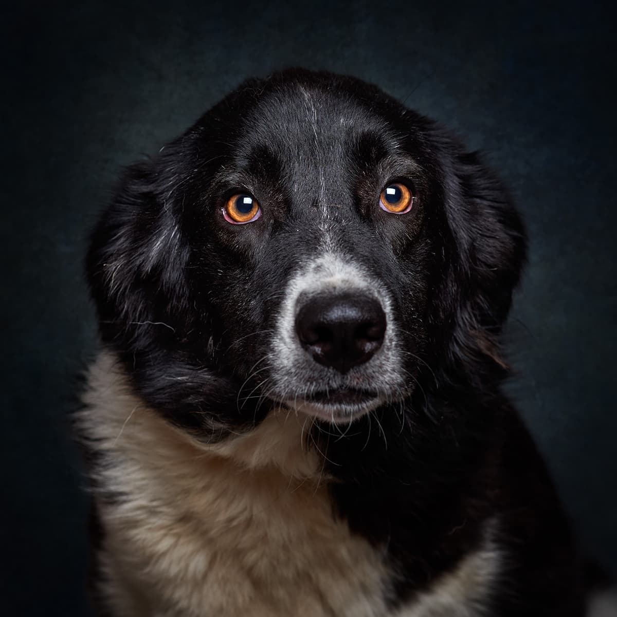 Be My Friend - Imagem 2