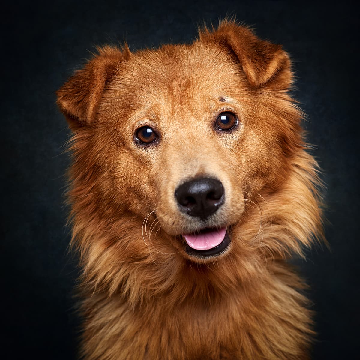 Be My Friend - Imagem 3